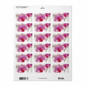 Etiket voor orchidee bloem (Full Sheet)