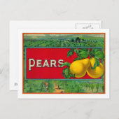 Etiket voor paardevlees briefkaart (Voorkant / Achterkant)