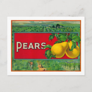 Etiket voor paardevlees briefkaart