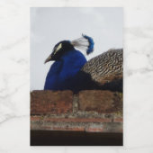 Etiket voor Peacock-voedselverpakking (Enkel label)