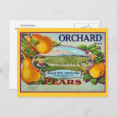 Etiket voor perenfruit  briefkaart (Voorkant / Achterkant)