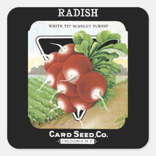 Etiket voor Radish Seed Packet