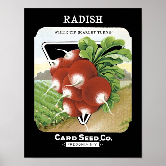Etiket voor Radish Seed Packet Poster (Voorkant)