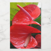 Etiket voor rode bloemen (Enkel label)