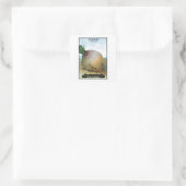 Etiket voor turnip-zaadverpakking (Tas)