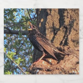 Etiket voor vogelvoeding en dranken (Enkel label)