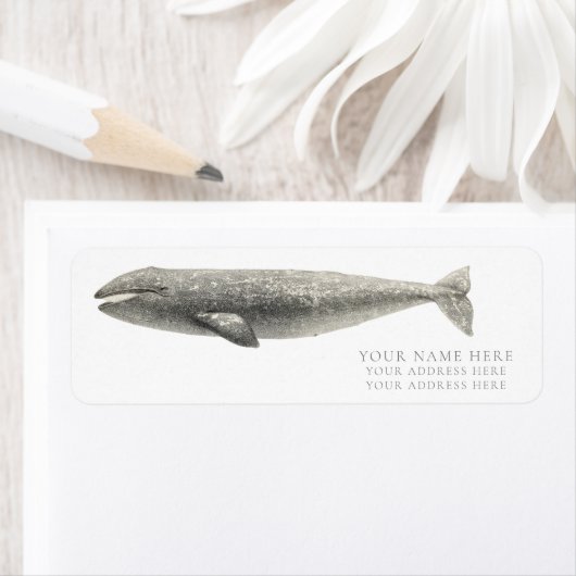 ETIKET VOOR  WALE TERUGKEERADRES (Insitu)