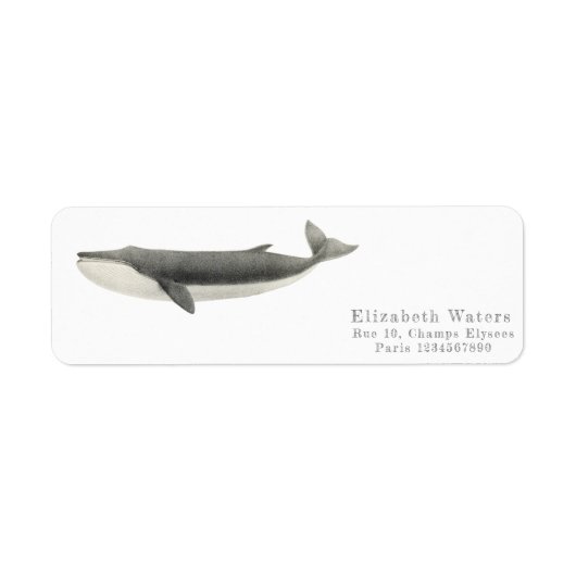 ETIKET VOOR WALE TERUGKEERADRES (Voorkant)