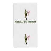 Etiketten  (Voorkant)