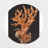 Etiketten Labels (Design 2)