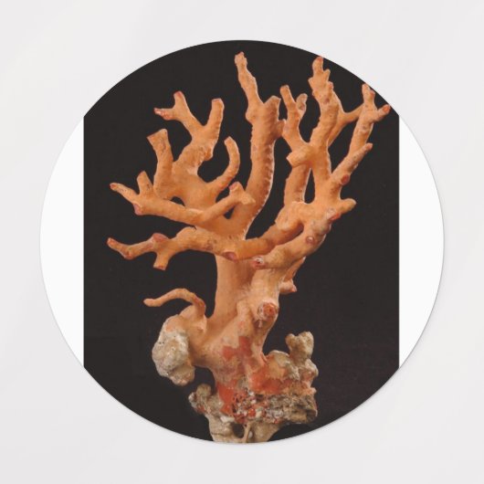 Etiketten Labels (Design 2)