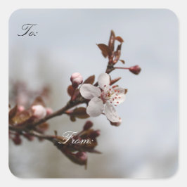 Etiketten met kerstcadeaubonen van de lente-bloese