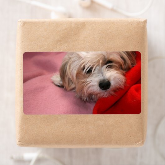 Etiketten met kerstcadeautjes label (Insitu)