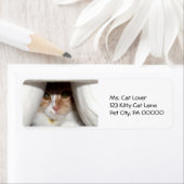 Etiketten met retouradres voor spiekende kitten (Insitu)