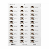 Etiketten met retouradres voor spiekende kitten (Full Sheet)