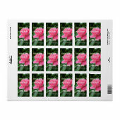 etiketten met roze roze rozenbloemen bruiloft. (Full Sheet)