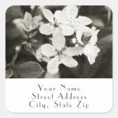 Etiketten van Ballerina Blosbezems (Voorkant)