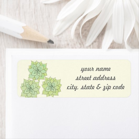 Etiketten van het Succulente Adres van de Terugkee (Insitu)