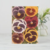 etiketten van zaadverpakkingen, tuinpootbloemen (Staand voorkant)