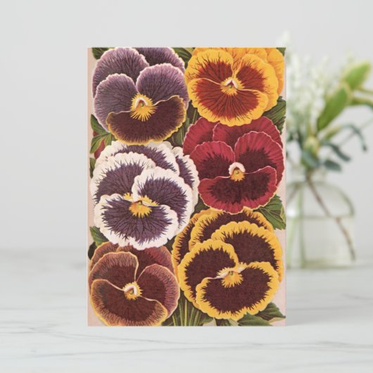 etiketten van zaadverpakkingen, tuinpootbloemen (Staand voorkant)