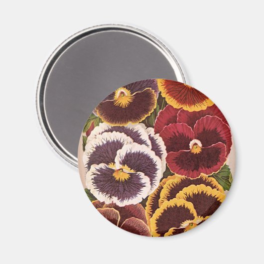  etiketten van zaadverpakkingen, tuinpootbloemen magneet (Voorkant / Achterkant)