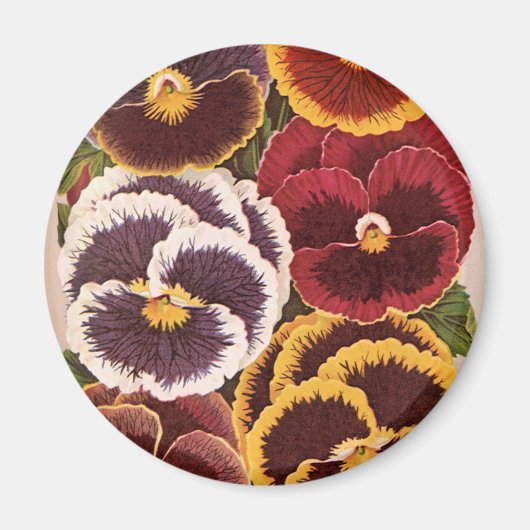  etiketten van zaadverpakkingen, tuinpootbloemen magneet (Voorkant)