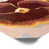  etiketten van zaadverpakkingen, tuinpootbloemen poster (Hoek)