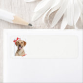 Etiketten voor de gele kerstretour in het laborato (Insitu)