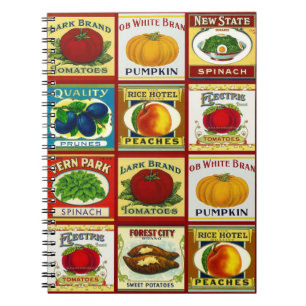 Etiketten voor de Vintage van een laptop met ingeb Notitieboek