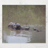 Etiketten voor flesjes met schildpad (Enkel label)