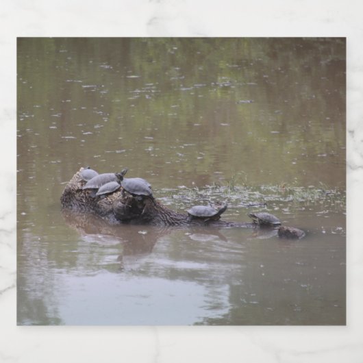 Etiketten voor flesjes met schildpad (Enkel label)