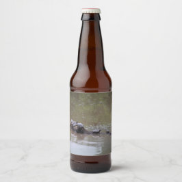 Etiketten voor flesjes met schildpad