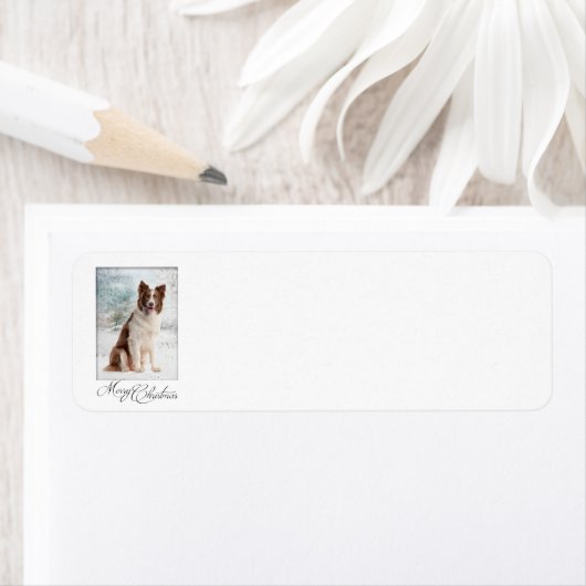 Etiketten voor het achterste kerstadres van de ran (Insitu)