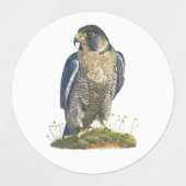 Etiketten voor schone kunsten labels (Design 2)