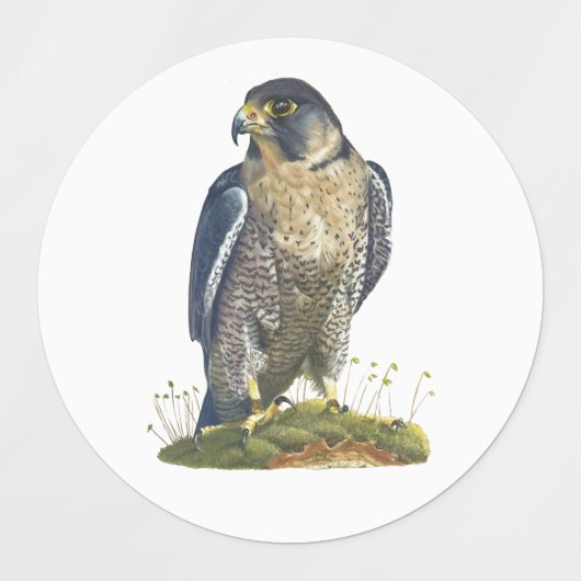 Etiketten voor schone kunsten labels (Design 2)