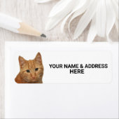 ETIKETTERING VOOR KATTEN VAN KATTEN VOOR TERUGKEER ETIKET (Insitu)