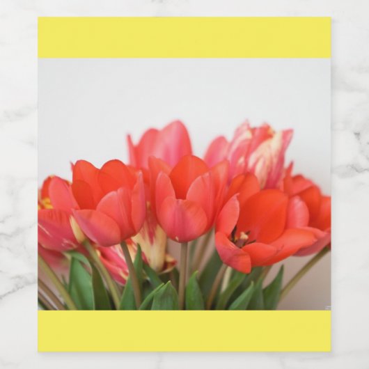 ETIKETTERING WIJNFLESJES WIJN ETIKET (Enkel label)