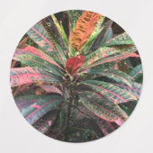 ETIKETTERS VOOR CIRCLE LABELS (Design 2)