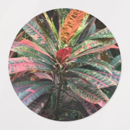 ETIKETTERS VOOR CIRCLE LABELS