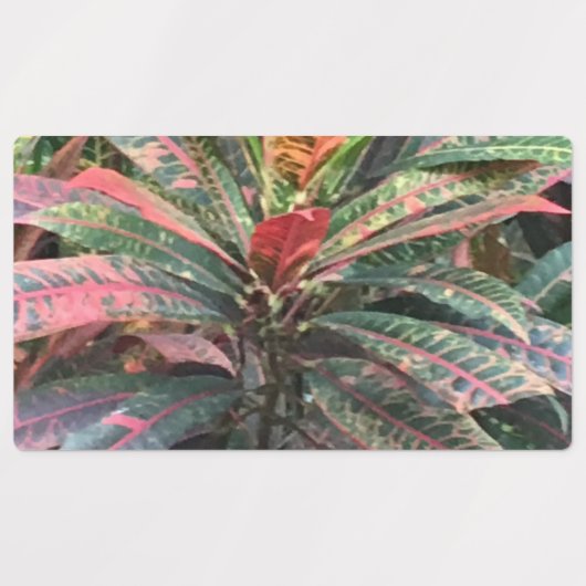 ETIKETTERS VOOR CIRCLE LABELS (Design 3)