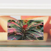 ETIKETTERS VOOR CIRCLE LABELS (Aangebracht)