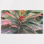 ETIKETTERS VOOR CIRCLE LABELS (Design 1)