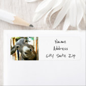 ETIKETTERS VOOR GEKKE DONKIJE TERUGKERNADRES ETIKET (Insitu)