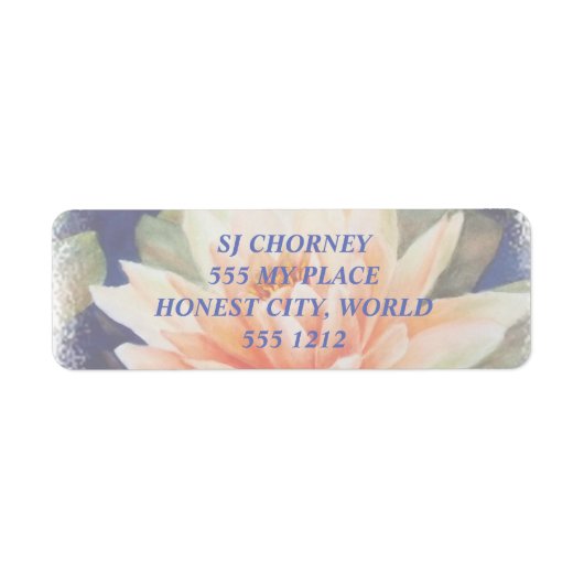 ETIKETTERS VOOR ORANJE WATER LICHT TERUGKEER ADRES ETIKET (Voorkant)