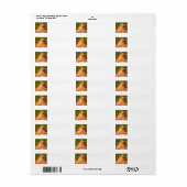 ETIKETTERS VOOR PERSIAN GINGER CAT-RETURN ADRES ETIKET (Full Sheet)
