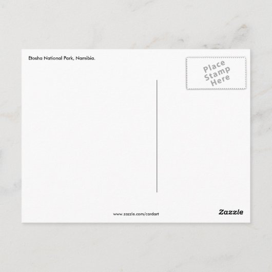 Etosha giraffe briefkaart (Achterkant)