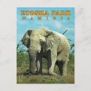 Etosha, Namibië Briefkaart