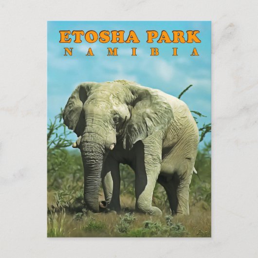 Etosha, Namibië Briefkaart (Voorkant)