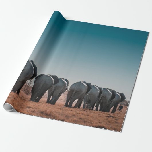 ETOSHA NATIONAAL PARK CADEAUPAPIER (Uitgerold)