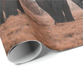 ETOSHA NATIONAAL PARK CADEAUPAPIER (Rol Hoek)